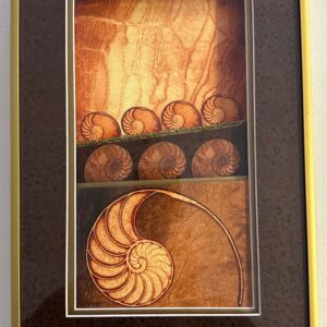 Shells - Golden
