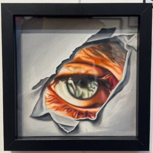 Looking From Within