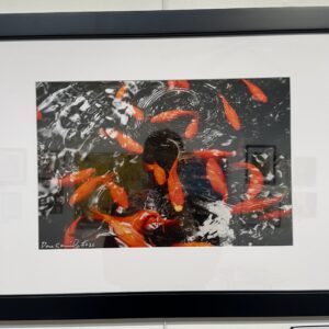 Swirling fish